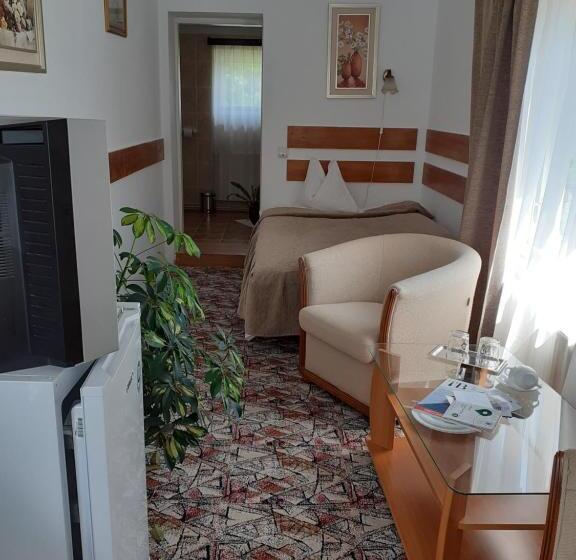 Номер Стандарт Индивидуальный, Pensiunea Floare De Colt