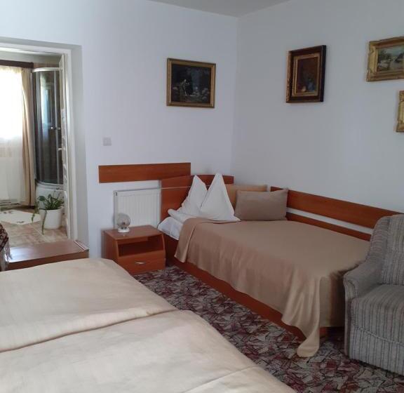 Номер Стандарт Трехместный, Pensiunea Floare De Colt