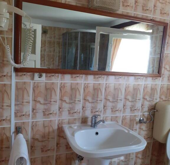 Номер Стандарт Трехместный, Pensiunea Floare De Colt