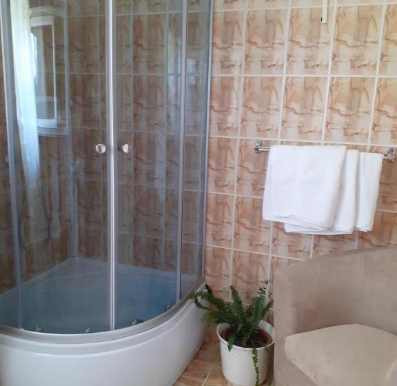 Номер Стандарт Трехместный, Pensiunea Floare De Colt