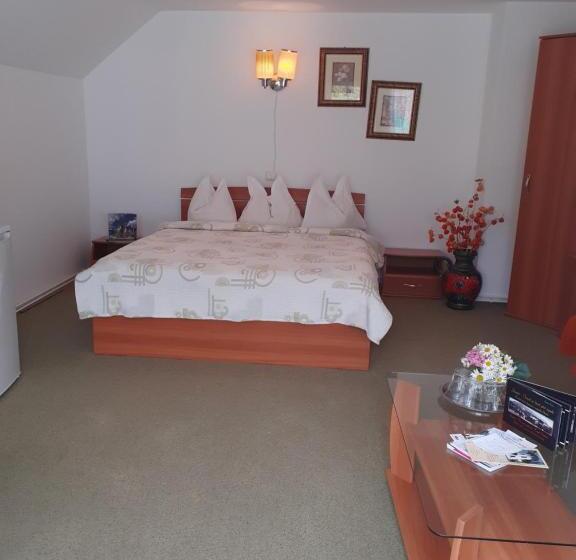 Номер Стандарт, Pensiunea Floare De Colt