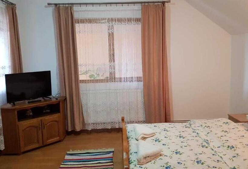 غرفة قياسية, Pensiunea Todorica Sergiu