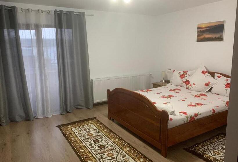 غرفة قياسية, Pensiunea Todorica Sergiu