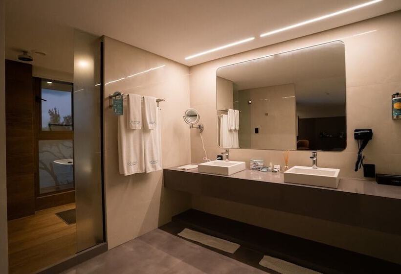 プレミアムスタジオ, Oceana Atlantico