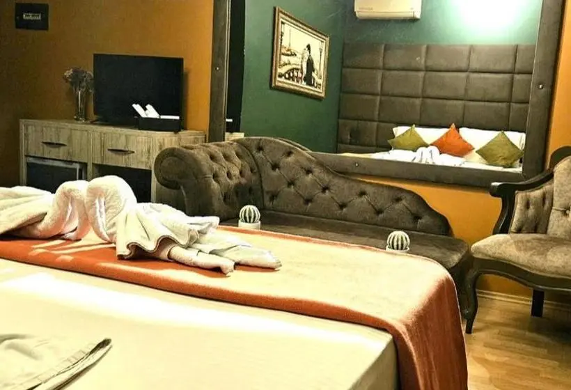 اتاق استاندارد با تخت بزرگ, Artist