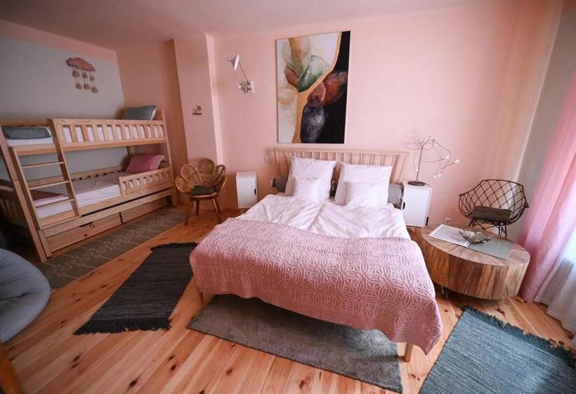 Номер Стандарт Вид на Сад, Pensiunea Agora