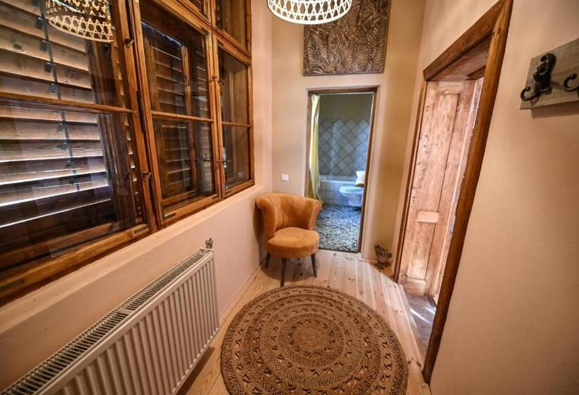 Номер Стандарт Вид на Сад, Pensiunea Agora