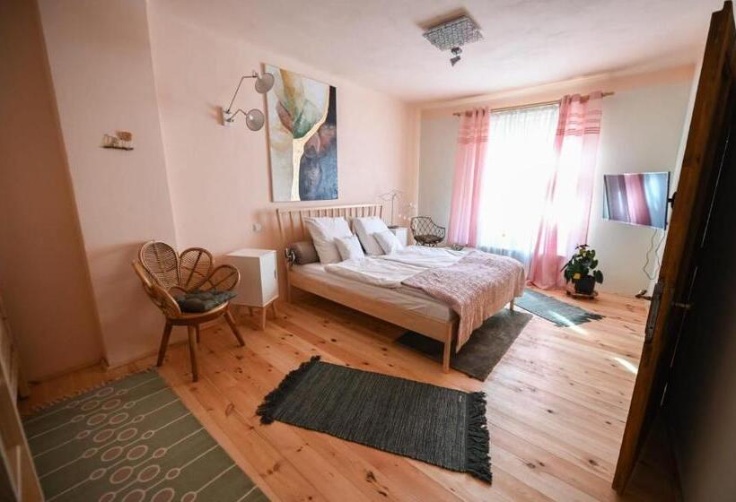 Номер Стандарт Вид на Сад, Pensiunea Agora