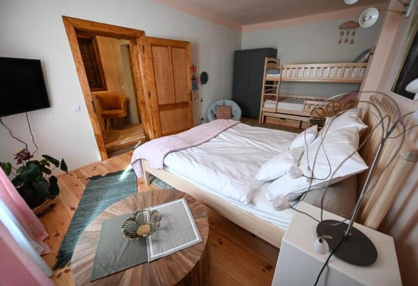 Номер Стандарт Вид на Сад, Pensiunea Agora