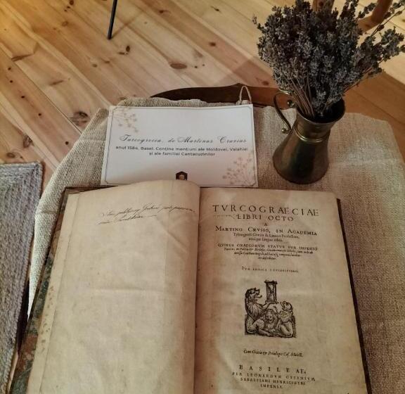 Номер Стандарт Вид на Сад, Pensiunea Agora