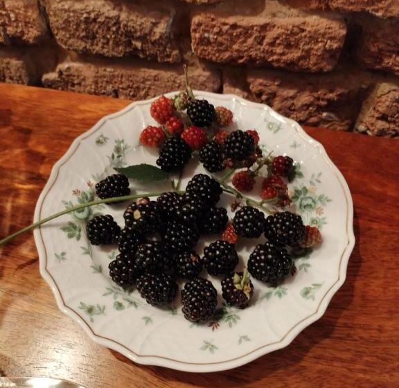 Номер Стандарт Вид на Сад, Pensiunea Agora