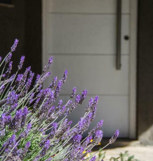 침실 1개 아파트, Amatista