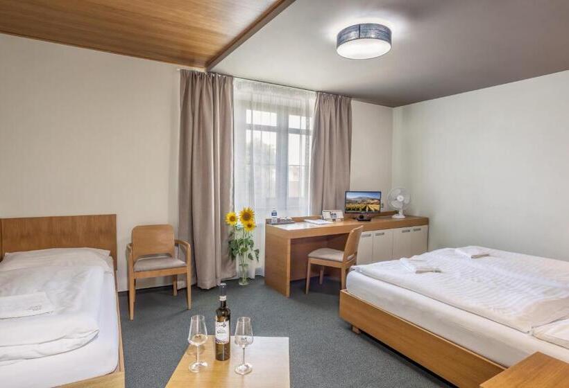 스탠다드 트리플 룸, Lidový Dům