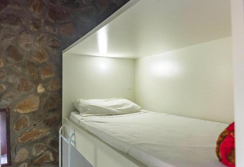 공동 객실, Albergue Explorer   Hostel