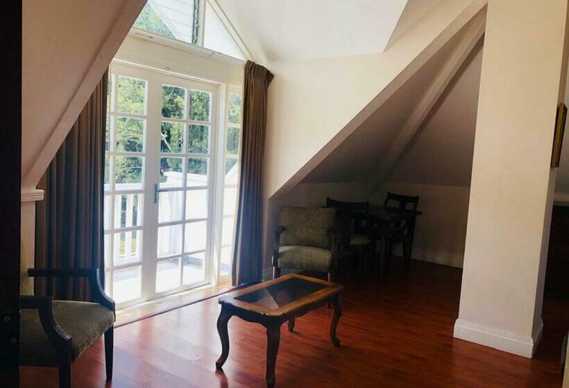 스탠다드 룸, Fogo Resort