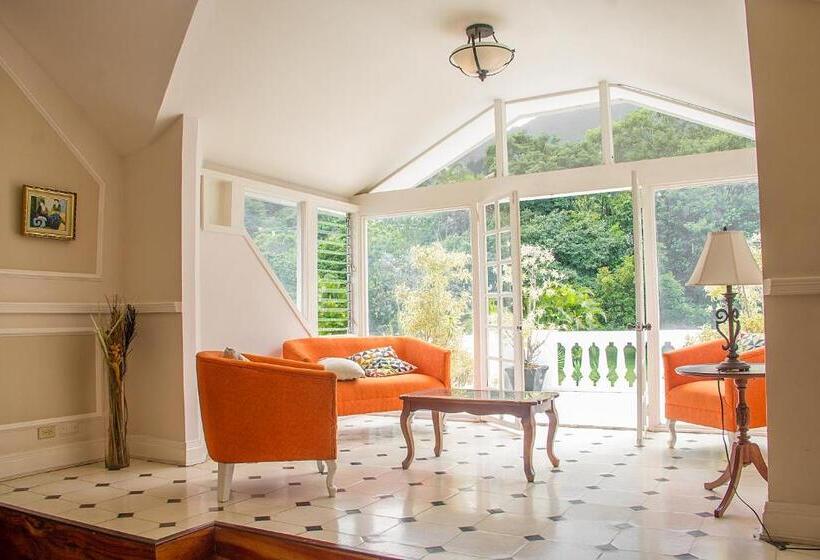 정원 전망 4인용 스탠다드 룸, Fogo Resort