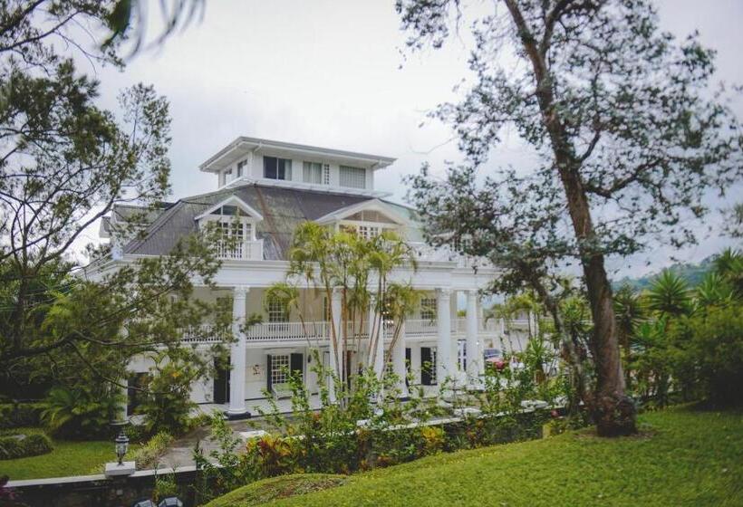 정원 전망 4인용 스탠다드 룸, Fogo Resort