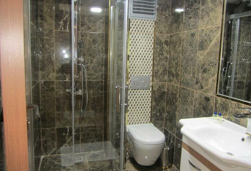 スタンダードシングルルーム, Safir