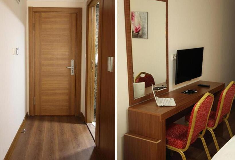 スタンダードルーム, Safir