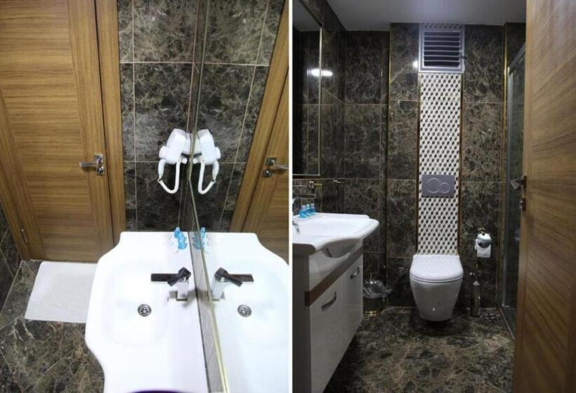 ベーシックトリプルルーム, Safir