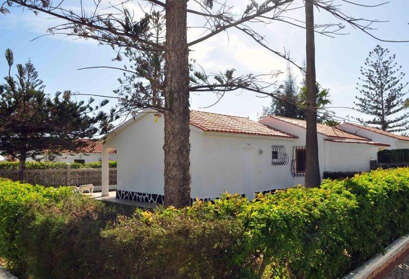 スタンダードバンガロー, Bungalows Los Arcos