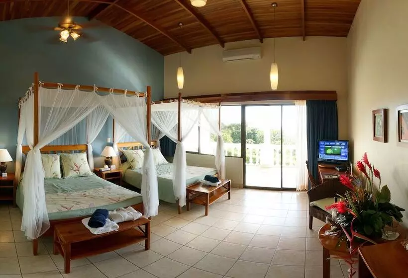 سوییت جونیور, Cristal Ballena Boutique Hotel & Spa
