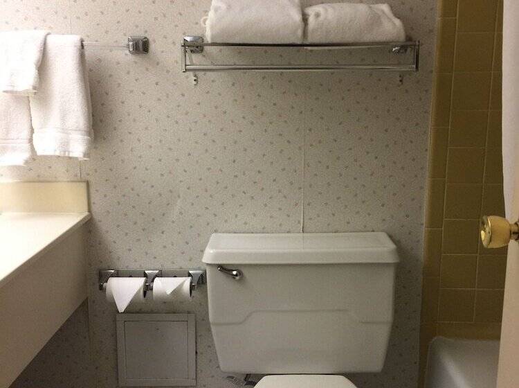 اتاق استاندارد با 2 تخت دوبل, Mystic River Hotel & Suites