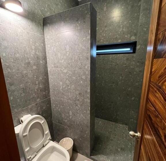 Студия Стандарт, Palmeras