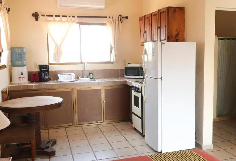 Президентский Люкс, Palmeras