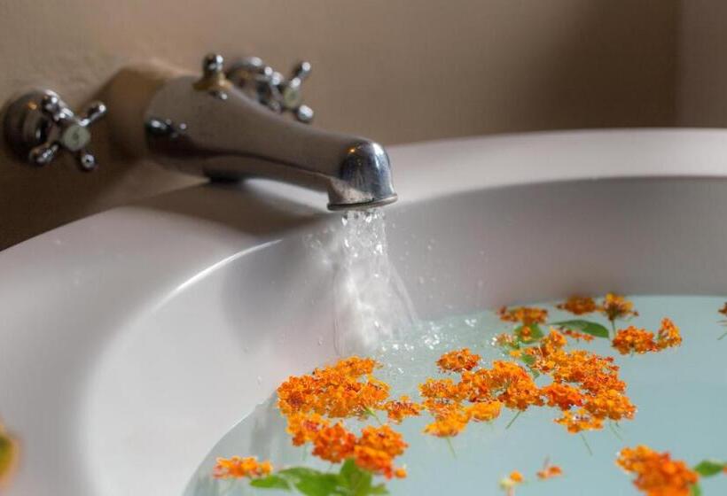 マスタースイートルーム, Ser Casasandra Boutique