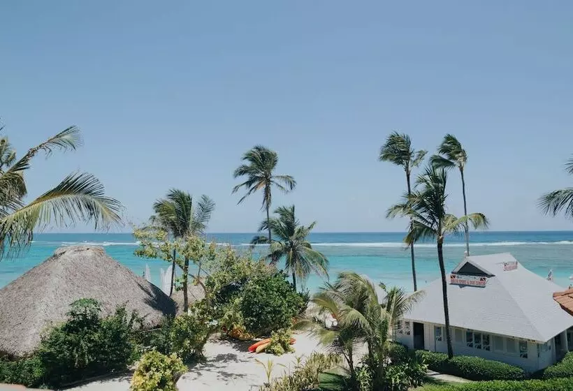 オーシャンビューのクラブルーム, Majestic Colonial Punta Cana   All Inclusive