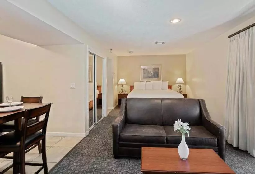 デラックススタジオ, Chase Suite Hotel Rocky Point Tampa