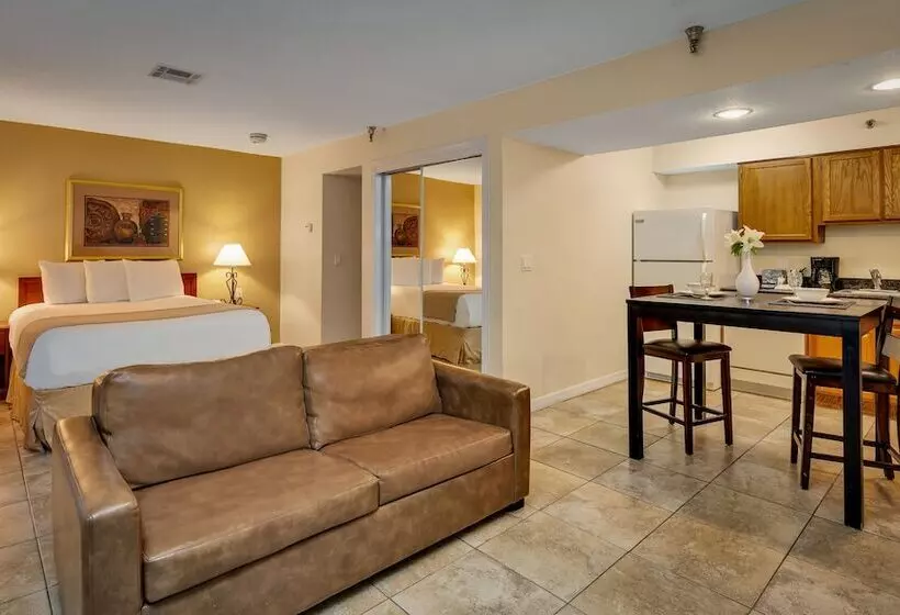 スタンダードスタジオ, Chase Suite Hotel Rocky Point Tampa