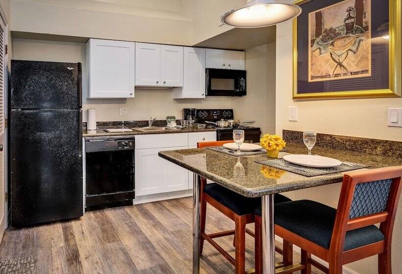 스탠다드 스튜디오, Chase Suite Hotel Rocky Point Tampa