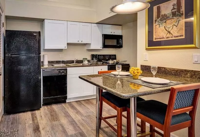 スタンダードスタジオ, Chase Suite Hotel Rocky Point Tampa
