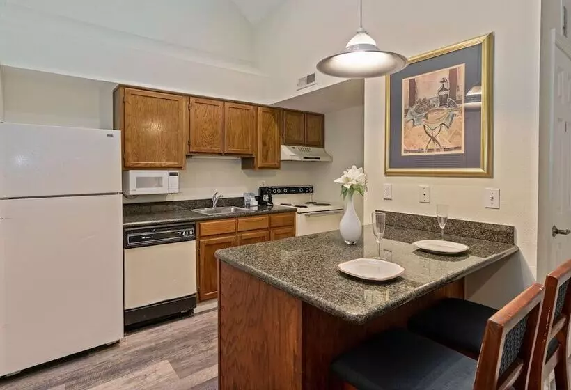 スタンダードスタジオ, Chase Suite Hotel Rocky Point Tampa