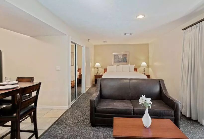 スタンダードスタジオ, Chase Suite Hotel Rocky Point Tampa