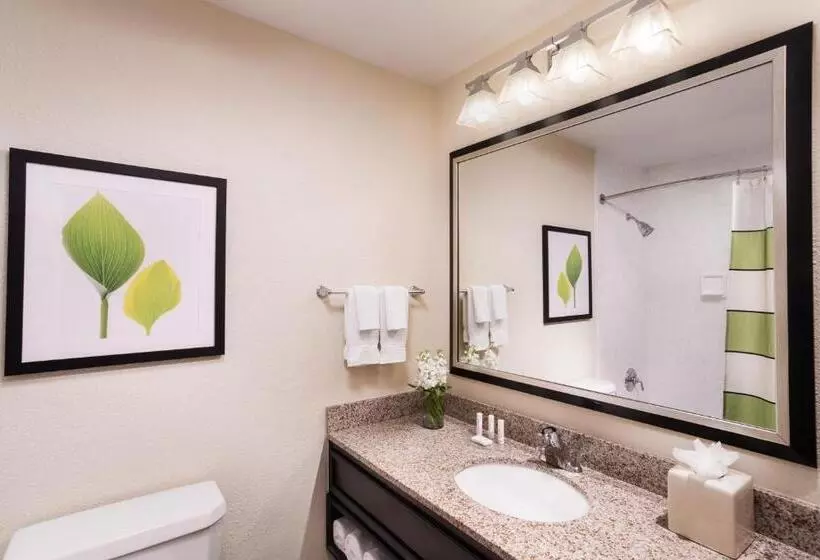 اتاق استاندارد با 2 تخت دوبل, The Querque