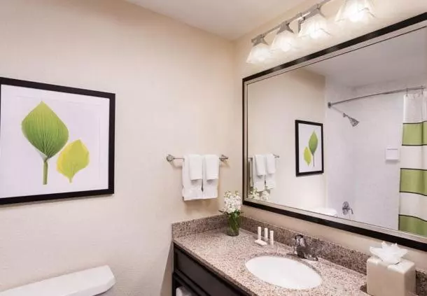اتاق استاندارد با 2 تخت دوبل, The Querque