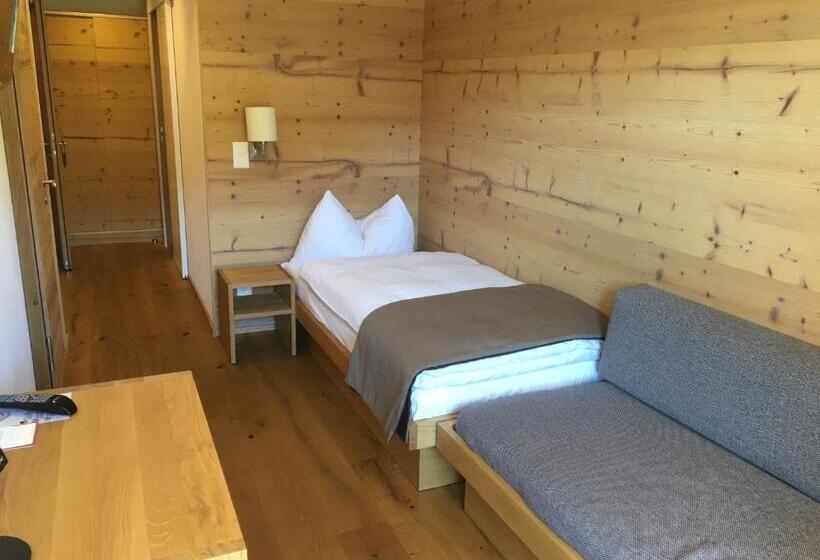 חדר סטנדרט יחיד עם מרפסת, Bettmerhof