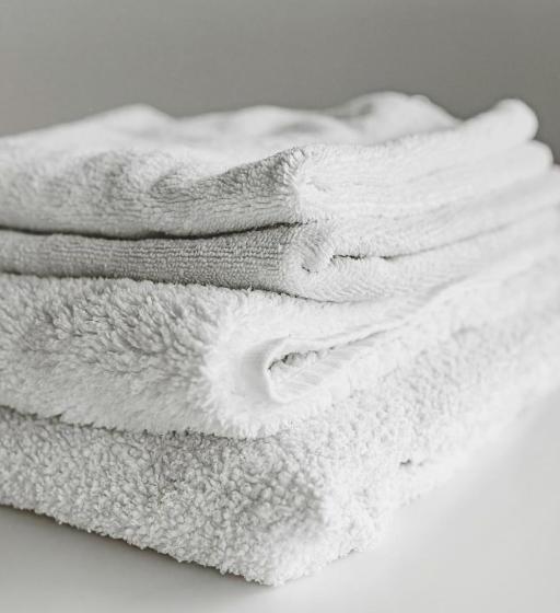 디럭스 룸 킹사이즈 침대, Forest Of Arden Hotel And Country Club