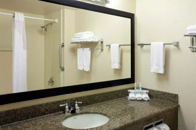 اتاق استاندارد با تخت بزرگ, Holiday Inn Express San Francisco Airport North, An Ihg