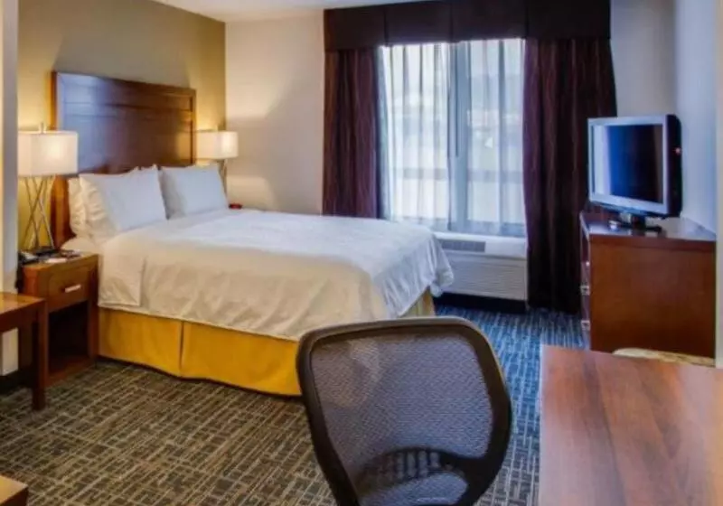 اتاق استاندارد با تخت بزرگ, Holiday Inn Express San Francisco Airport North, An Ihg