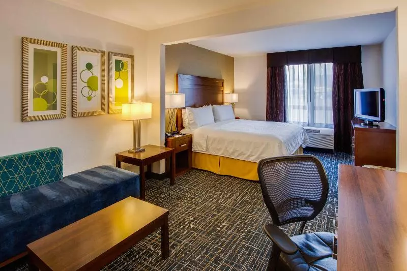 اتاق استاندارد با تخت بزرگ, Holiday Inn Express San Francisco Airport North, An Ihg