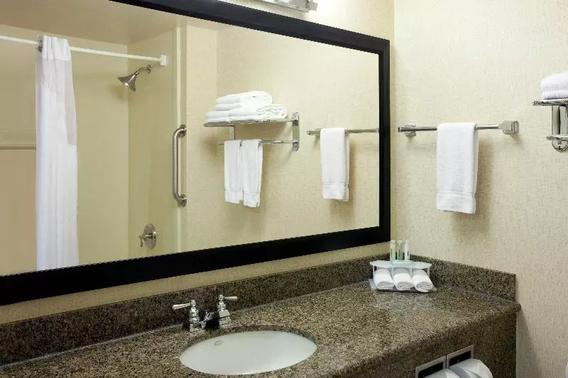 اتاق استاندارد با تخت بزرگ, Holiday Inn Express San Francisco Airport North, An Ihg