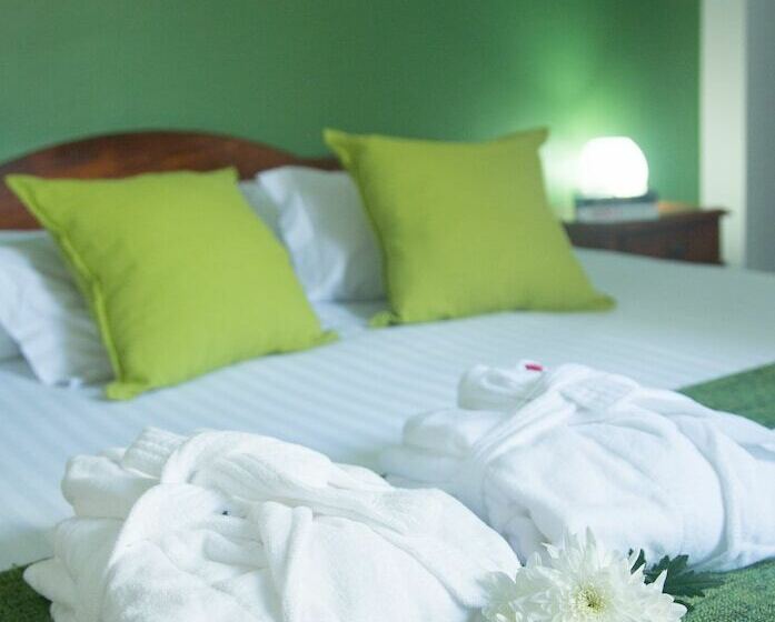 스탠다드 룸, Alcides