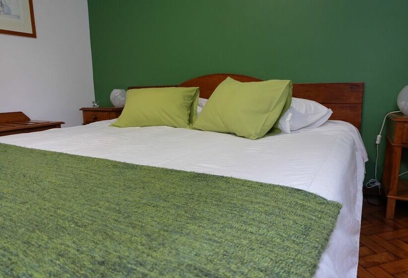 스탠다드 룸, Alcides