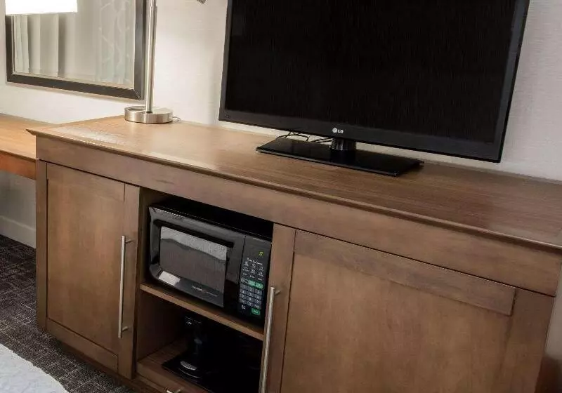 اتاق استاندارد با تخت بزرگ, Hampton Inn Albany Western Ave/university Area