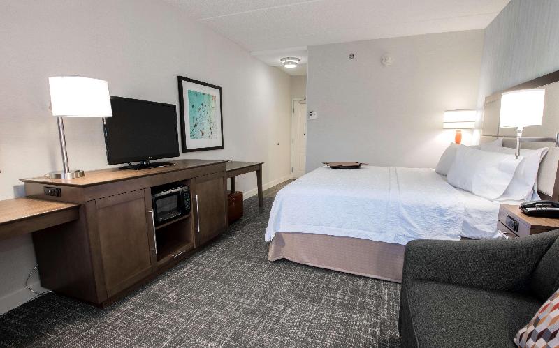 스탠다드 룸 킹사이즈 침대, Hampton Inn Albany Western Ave/university Area