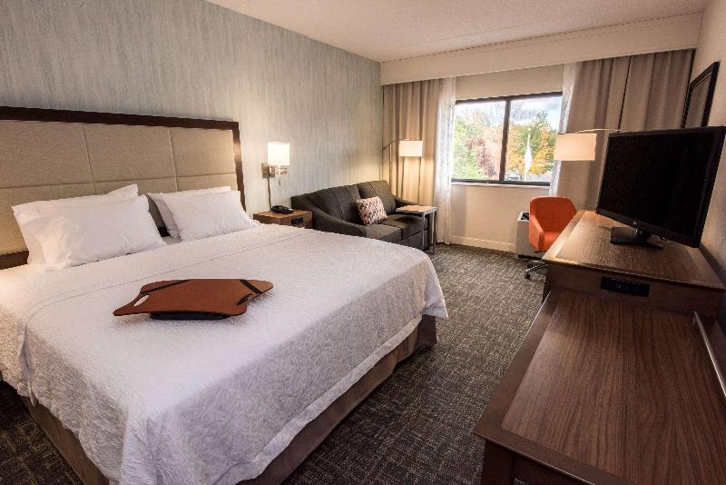 스탠다드 룸 킹사이즈 침대, Hampton Inn Albany Western Ave/university Area
